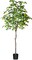 Lifelike Artificial Lemon Tree: Pre-Potted Faux Plant for Home and Office Decor